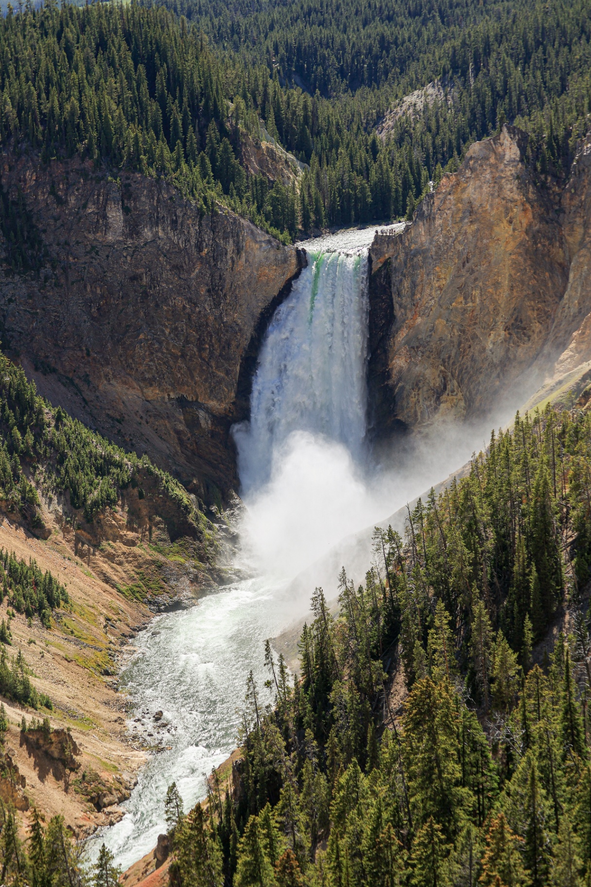 Lower Falls of the Yellowstone